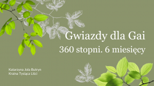 Gwiazdy dla Gai - program rozwoju osobistego – poziom Złoty – 1100 pln płatne co 30 dni kalendarzowych